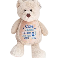 Personalised Teddy Bear