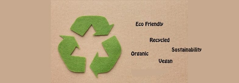 Website Eco 4 e1725958396490